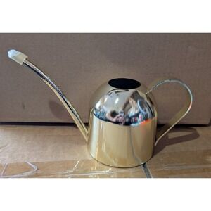 Asvert Stainless Steel Gold Watering‎ can for plants Succulent Flowers small
